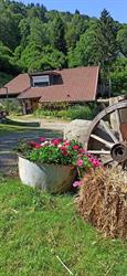 La Ferme des 4 Vents, Bussang - Horaires d'ouverture