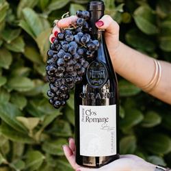 Domaine Clos Romane Nadine, Florent, Romane & Stéphane CHARANCON, Cairanne - Horaires d'ouverture
