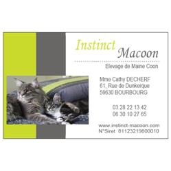 Instinct Macoon, Bourbourg - Horaires d'ouverture