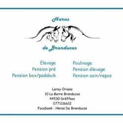 Haras de Branducas, Drefféac - Horaires d'ouverture