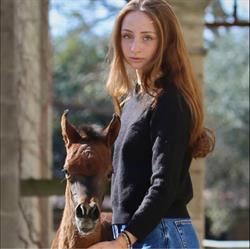 Sarl Scott Allman Arabians Domitia Farms, Beaucaire - Horaires d'ouverture