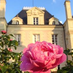 Château du Breil, La Haie-Fouassière - Horaires d'ouverture