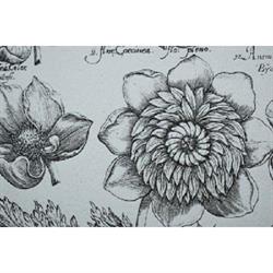 Cordier Anne naturopathe, Squiffiec - Horaires d'ouverture