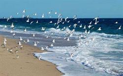 Immobilier Du Bord De Mer, La Tranche-sur-Mer - Horaires d'ouverture