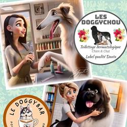 Les Doggychou, Saint-Pourçain-sur-Sioule - Horaires d'ouverture