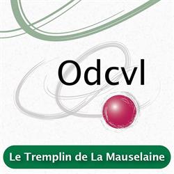 Odcvl Le Tremplin de La Mauselaine, Gérardmer - Horaires d'ouverture