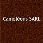 Caméléons SARL, Billère - Horaires d'ouverture