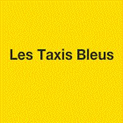LES TAXIS BLEUS, Saint-Chaptes - Horaires d'ouverture
