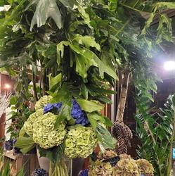 G D Fleurs, Thiais - Horaires d'ouverture