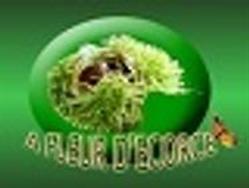 A Fleur d'Ecorce, Lescherolles - Horaires d'ouverture