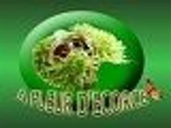 A Fleur d'Ecorce, Lescherolles - Horaires d'ouverture