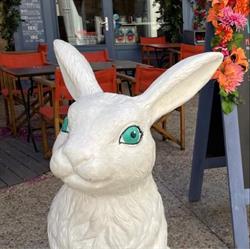 Restaurant Le Lapin Blanc Avignon, - Horaires d'ouverture