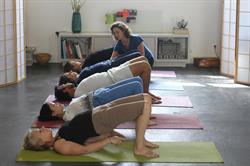 Yoga Terra, Montreuil - Horaires d'ouverture