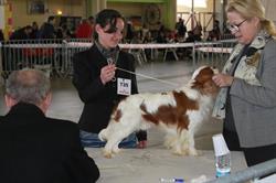 De la truffe a la griffe, Saint-Symphorien-sur-Coise - Horaires d'ouverture