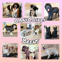 Cani'Coiff Brens - Horaires d'ouverture