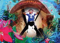 Wonderland Vision, Pornic - Horaires d'ouverture