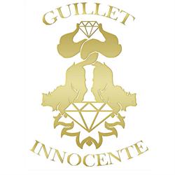 GUILLET & INNOCENTE - Bijouterie Joaillerie, Léognan - Horaires d'ouverture