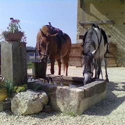Le Palefroi, Merlas - Horaires d'ouverture
