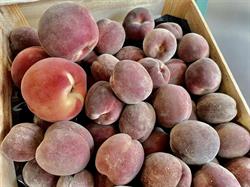 Primeur Fruitier, Brie-Comte-Robert - Horaires d'ouverture