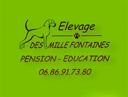 Elevage/Pension canine des Mille Fontaines, Tesson - Horaires d'ouverture