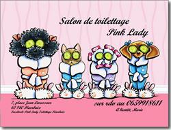 Toilettage Pink Lady, Fleurbaix - Horaires d'ouverture