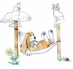 Pension La Colo Des Animaux, Chaignes - Horaires d'ouverture