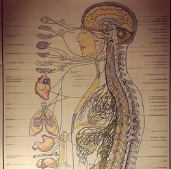 Chiropracteur La Ciotat, - Horaires d'ouverture