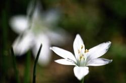 Shiatsu Institut, Albi - Horaires d'ouverture
