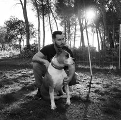 All Dog, Pélissanne - Horaires d'ouverture