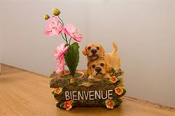 Look Canin, Capdenac-Gare - Horaires d'ouverture