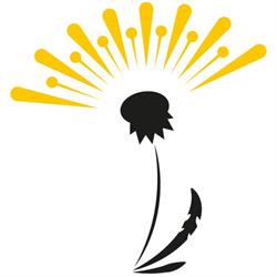 Miellerie Dandelion, Dournazac - Horaires d'ouverture