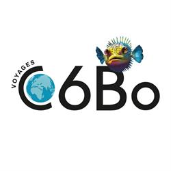 C6Bo Voyages, Toulouse - Horaires d'ouverture