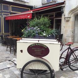 Les Racines dans l'assiette, Loches - Horaires d'ouverture