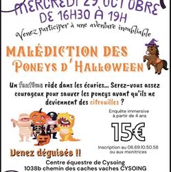 Ecuries Stéphanie Charlet, Cysoing - Horaires d'ouverture