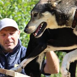 Husky Adventure HAD2 Max, Villarodin-Bourget - Horaires d'ouverture