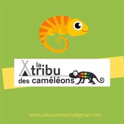 Micro crèche La tribu des caméléons, Monteux - Horaires d'ouverture