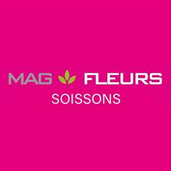 Mag fleurs soissons, Soissons - Horaires d'ouverture