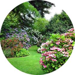 Jardin du Mesnil et Parc Botanique de Bray, Montérolier - Horaires d'ouverture