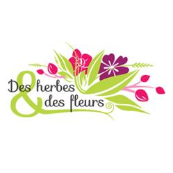 Des herbes et des fleurs, Ossey-les-Trois-Maisons - Horaires d'ouverture