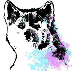 L'harmonie canine massages et toilettage canin, Wittersheim - Horaires d'ouverture