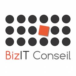 BIZIT CONSEIL, Fontenilles - Horaires d'ouverture