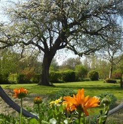 Le Jardin du Petit Gonio (B&B), Felleries - Horaires d'ouverture