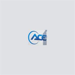 ACE SAS, Champhol - Horaires d'ouverture