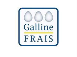SAS Galline Frais, Halluin - Horaires d'ouverture