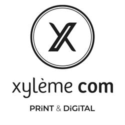 XYLEME CONSEIL, Orvault - Horaires d'ouverture