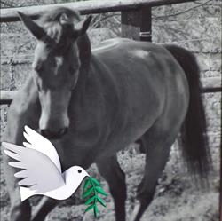 Centre Equestre de Bretteville-sur-Odon - Horaires d'ouverture