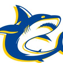 LES REQUINS COURONNAIS, Grand-Couronne - Horaires d'ouverture