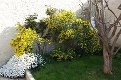 Les Passe-roses, Bourcefranc-le-Chapus - Horaires d'ouverture