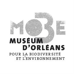 Muséum d'Orléans, - Horaires d'ouverture