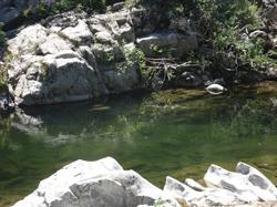 Camping Le Petit Baigneur, Saint-Jean-du-Gard - Horaires d'ouverture
